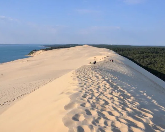 les environs de la villa l'estuaire tourisme dune du pyla